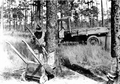 Collecting scrape or gum