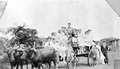 Carter family in Mr. Carter's turpentine wagon - Leon County, Florida