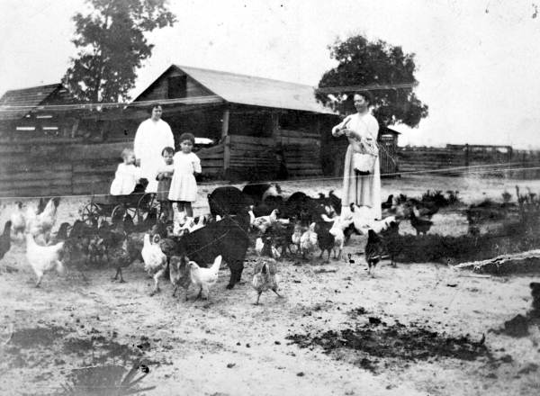 Miss Lizzie Carter and children at an aunt's home in southern Alabama