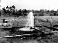 Flowing artesian well at abandoned turpentine still site of M.E. Parker - near Carrabelle