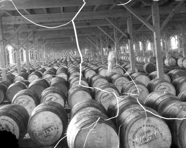 Barrels of turpentine in warehouse