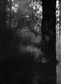 Fire on turpentine face