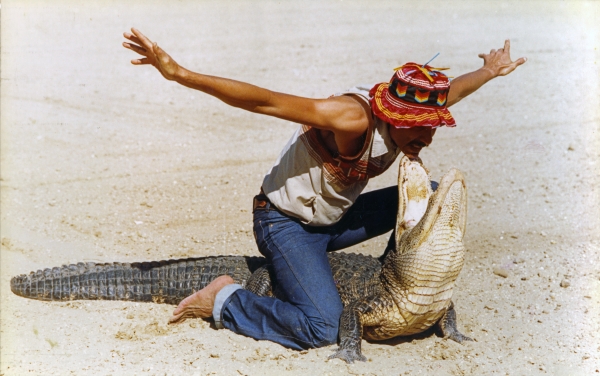 Man wrestlilng an alligator at the Brighton Seminole Reservation, ca. 1983