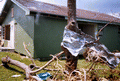 Close-up view showing trees blown down next to a house damaged by Hurricane Andrew - Dade County, Florida.