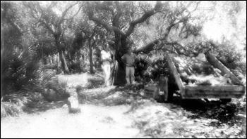 Excavation at Tower Mound: Saint Marks National Wildlife refuge, Florida (1937)