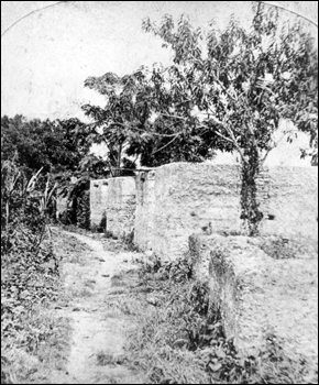 Remains of slave quarters at the Kingsley Plantation : Fort George Island, Florida (c. 1873)