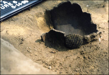 Remains of a ceramic vessel and shell dipper being uncovered during the University of North Florida's Sarabay Spanish Mission archaeological field school excavation on Big Talbot Island State Park: Jacksonville, Florida (1998)