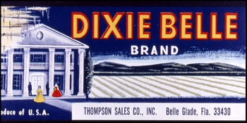 Thompson Sales Company's Dixie Belle Brand citrus label (1986)