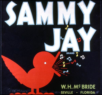 W.H. McBride's Sammy Jay Brand citrus label (1986)