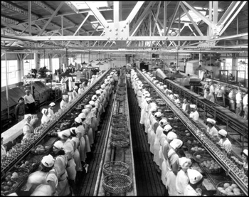 Florida Machinery Compnay: Lucerne Park, Florida (ca. 1930s)