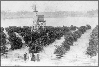 View of Lake Morton: Lakeland, Florida (ca. 1890)