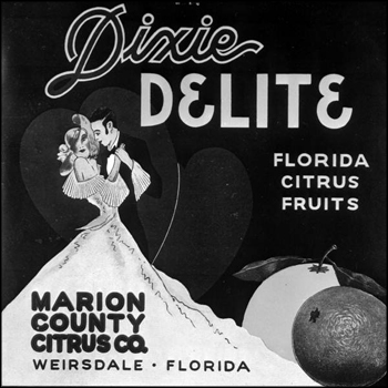 Dixie Delite citrus label: Weirsdale, Florida (early 1900s)