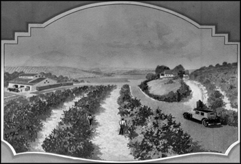 "Oranges and grapefruit groves cover countless acres among Florida's charming hills and lakes." (1934)