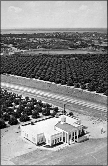 Aerial view of gift shop and citrus groves from atop of the Citrus Tower: Clermont, Florida (ca. 1960s)