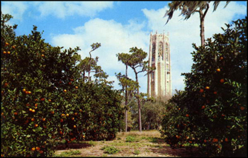 The Singing Tower: Lake Wales, Florida (ca. 1950s)