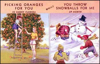 "Picking Oranges for you in sunny Florida while you throw snowballs for me." (1941)