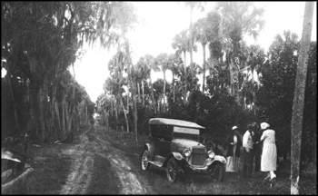 Tourists picking oranges in a roadside grove (ca. 1910s)