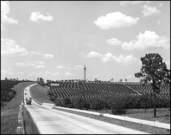 Citrus Tower: Clermont, Florida (ca. 1956)