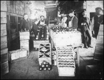 Workers in C.S. Hasbrouck's packing house (1886)