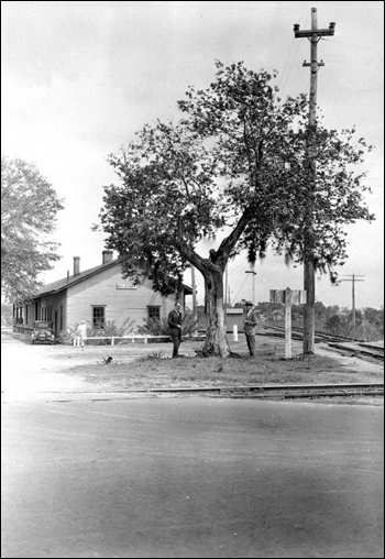 G. Ponton and H. Gunter standing beneath mulberry tree: Mulberry, Florida (March 12, 1929)