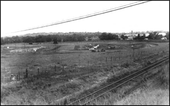 Site for the Doak Campbell Stadium: Tallahassee, Florida (1948)