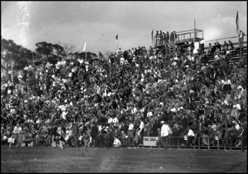 Fans at a University of Miami football game: Miami, Florida (ca. 1920s)