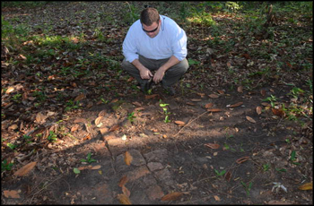 Division of Historical Resources Site Manager Dr. Robert Krause examining brick foundation structure on Grove property (2011)