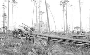 Riviera section after the 1926 hurricane : Coral Gables, Florida