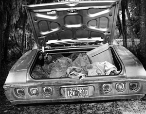 Confiscated car filled with illegally hunted alligator skins (1969)