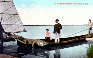 An Alligator hunter: Palm Beach, Florida (19--?)