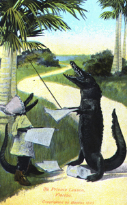 Postcard featuring alligators: "The Private Lesson" (1893)