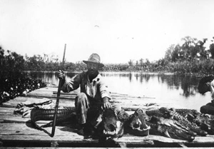 Alligator hunter posing with the kill from a hunt (ca. 1920)