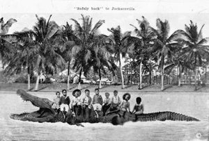 Postcard of children with alligator (1910s)