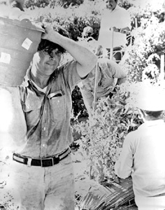 State Senator Bob Graham during workday as a tomato picker for Six L's Farms: Naples, Florida (1977)