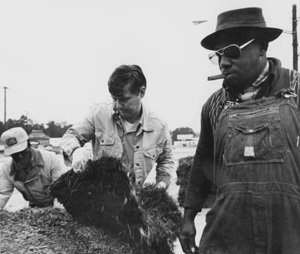 Florida Governor Bob Graham sodding grass for the Hammet Company Incorporated (1979)