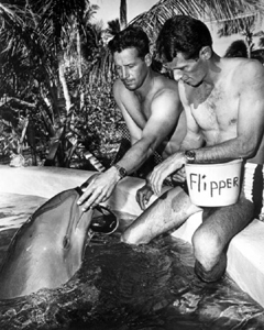 Flipper the dolphin and crew (c. 1965)