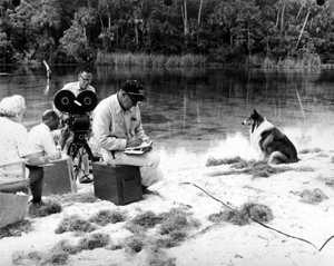 Lassie awaiting her cue in front of camera crew (1965)