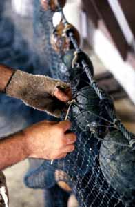 Rickey Doublerly knitting a fishing net: Jacksonville, Florida (1988)