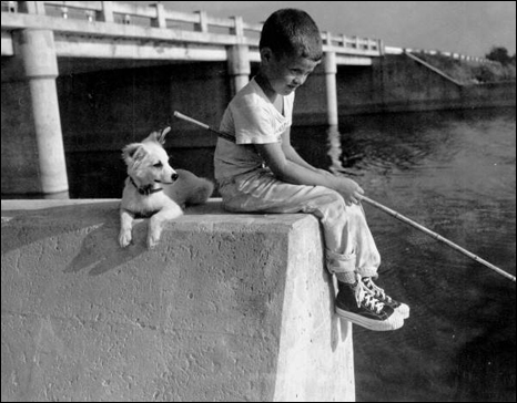 Young boy fishing with his dog: Palm Beach County, Florida
