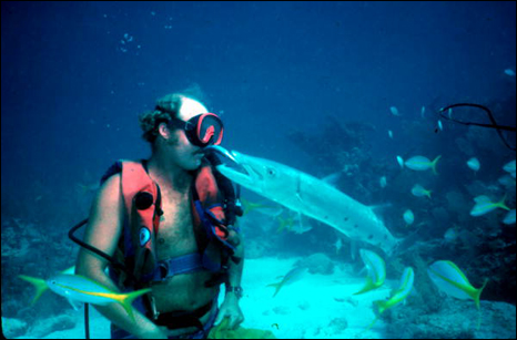 Captain Spence Slate feeding his pet barracuda "George": Key Largo, Florida (1982)