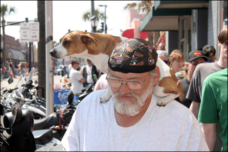 Man with his dog at 2006 Bike Week: Daytona Beach, Florida (2006)