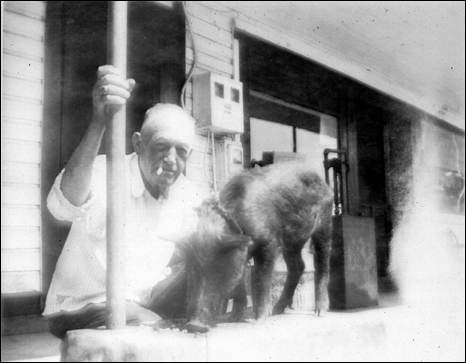 George Holton with Billy Hartfield's pet razor back pig: Panacea, Florida (195-?)