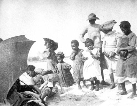 Children with dog on the beach: Apalachicola, Florida (1895)
