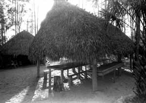 A Chickee, typical Seminole housing in South Florida: Big Cypress Seminole Indian Reservation (1985)