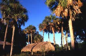 Chickee on the Brighton Seminole Indian Reservation (1989)