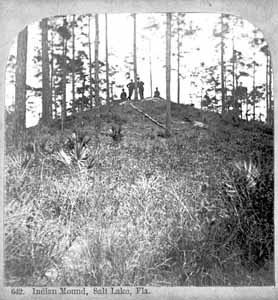 Earthen mound in Salt Lake, Florida (1900s)