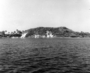 Turtle Mound near New Smyrna Beach, Florida (1930s)