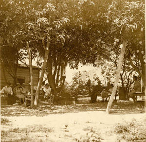 1. The Roberts, who migrated to Riviera from the Bahamas in 1915, sit daily under the mango trees in the back yard…