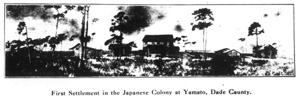 Japanese colony: Yamato, Florida (ca. 1912)