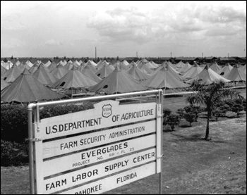 Tent housing for migrant workers provided the Farm Security Administration: Pahokee, Florida (1943)